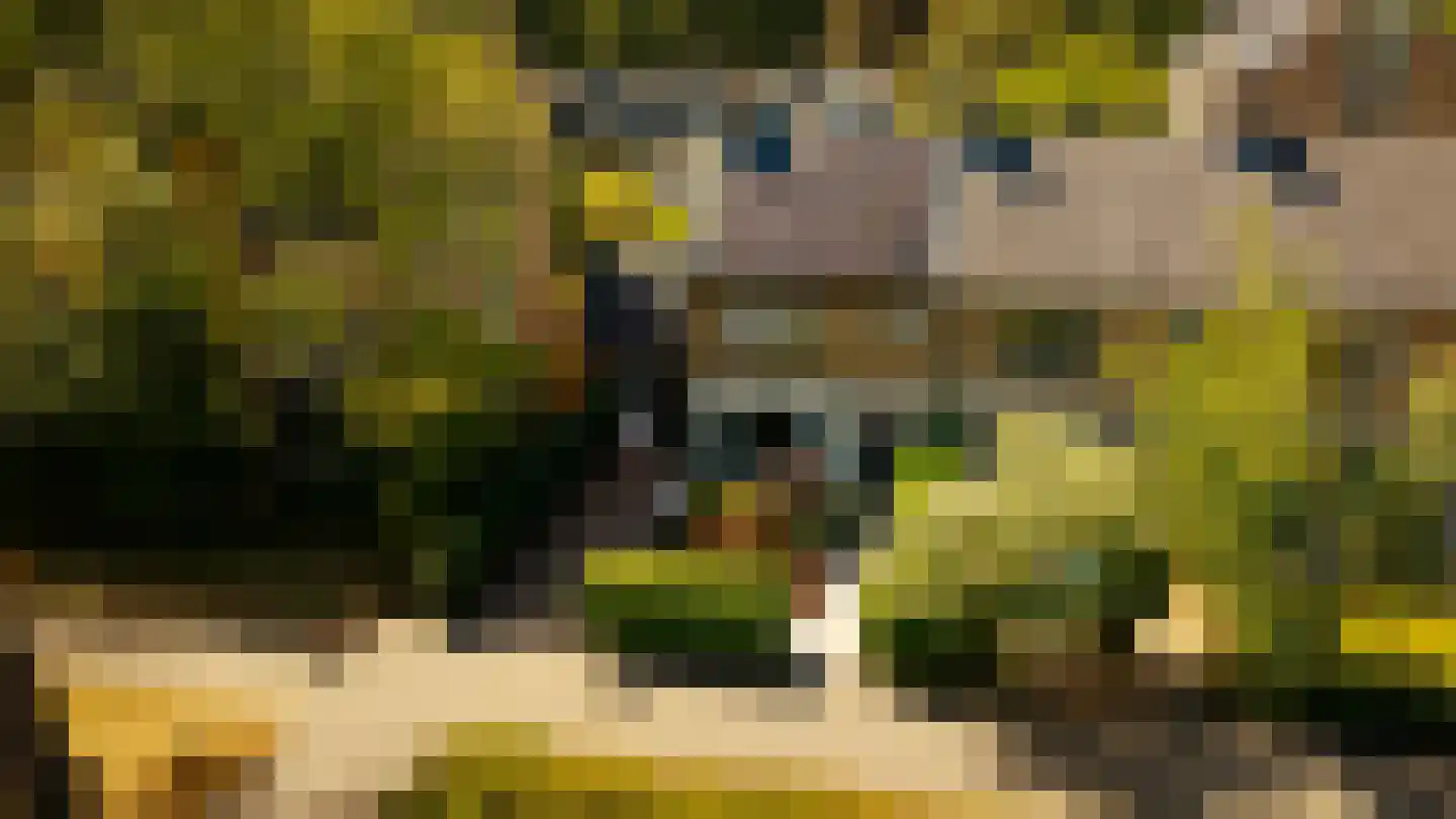 Roos en Beeklaan 27 Santpoort-Noord thumbnail 45