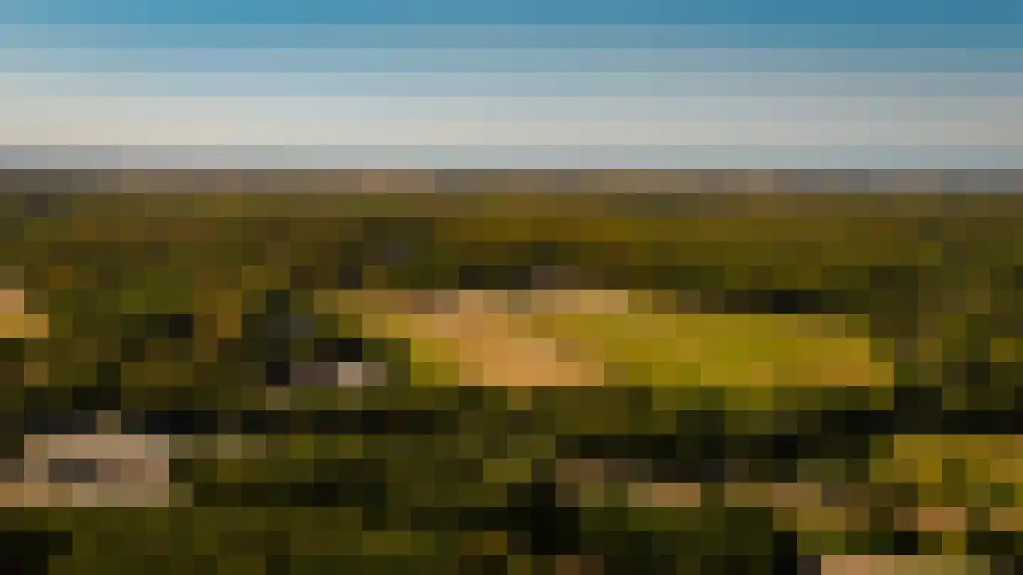 Roos en Beeklaan 27 Santpoort-Noord thumbnail 48
