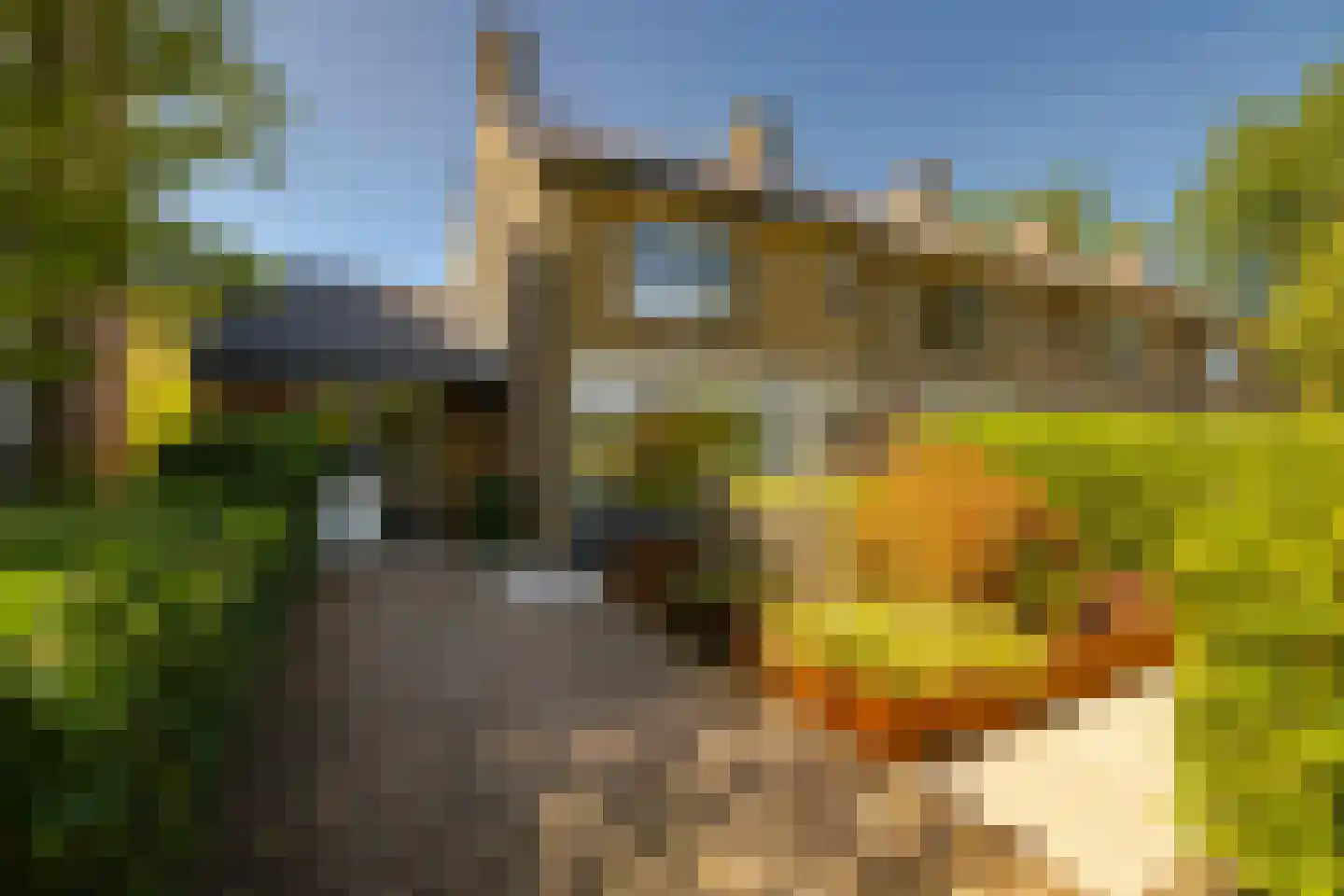Roos en Beeklaan 27 Santpoort-Noord thumbnail 5