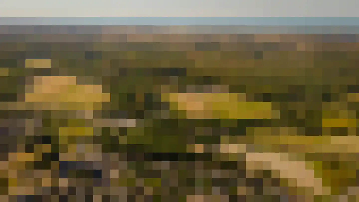 Roos en Beeklaan 27 Santpoort-Noord thumbnail 51