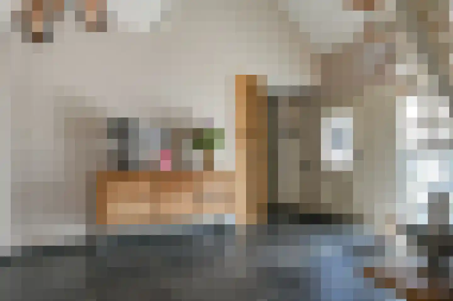 Roos en Beeklaan 35 Santpoort-Noord thumbnail 21