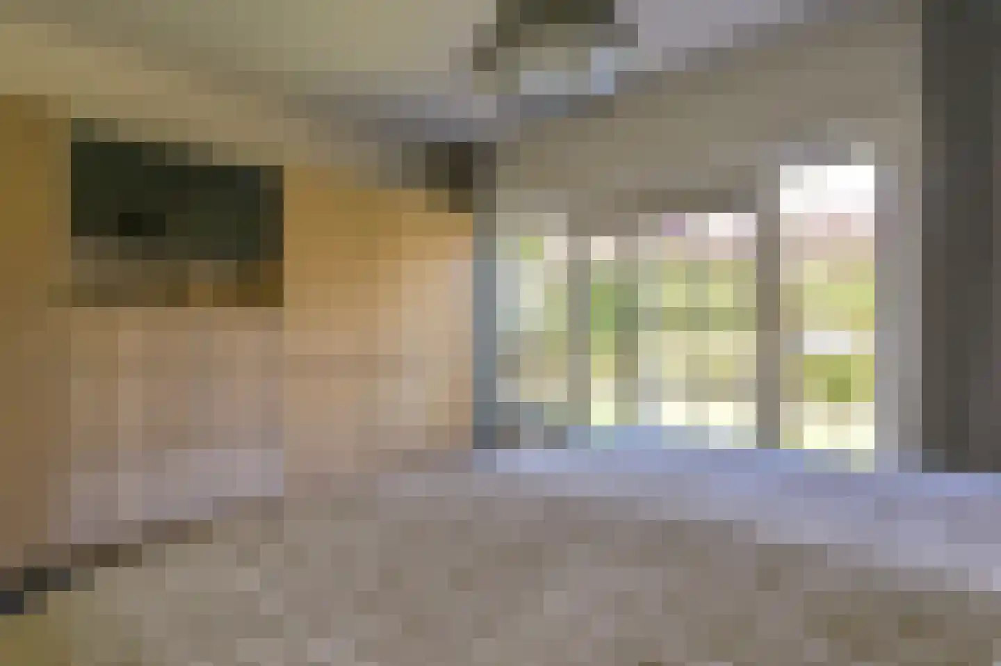 Roos en Beeklaan 35 Santpoort-Noord thumbnail 24
