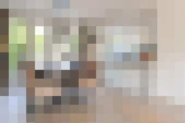 Roos en Beeklaan 51 Santpoort-Noord thumbnail 5