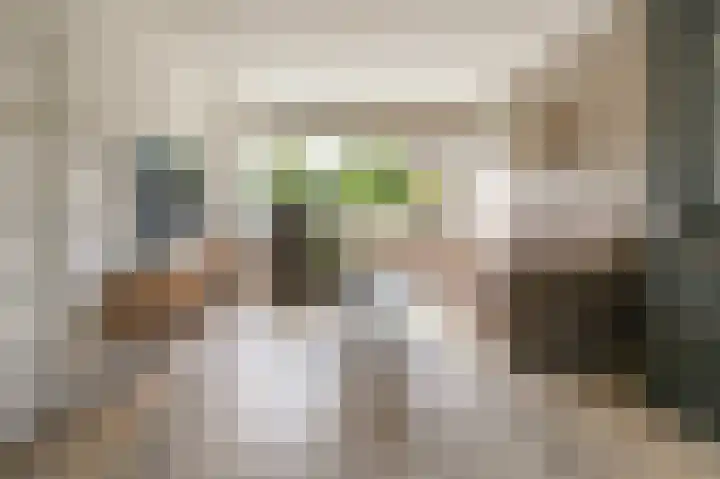 Roos en Beeklaan 51 Santpoort-Noord thumbnail 6