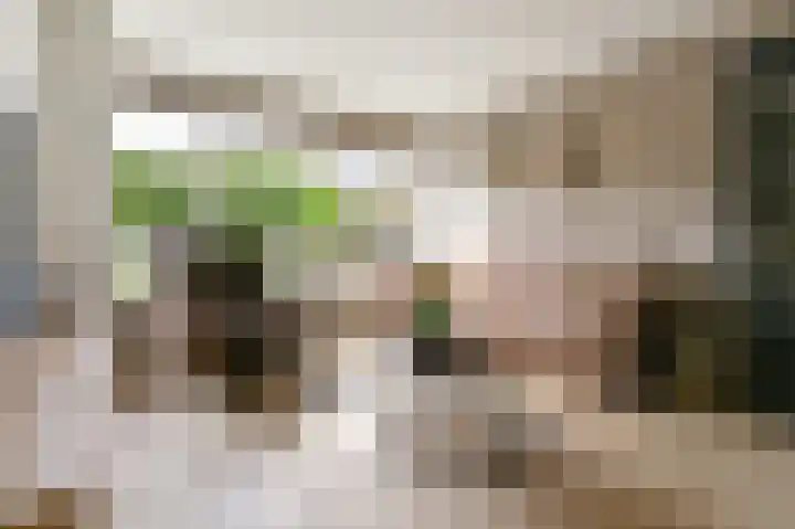 Roos en Beeklaan 51 Santpoort-Noord thumbnail 7