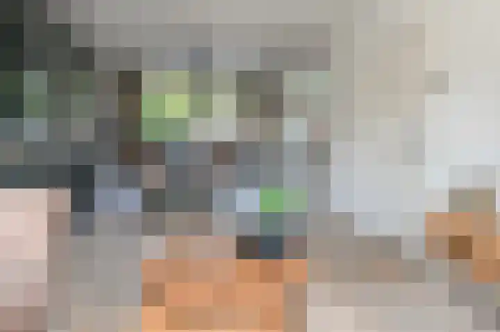 Roos en Beeklaan 51 Santpoort-Noord thumbnail 9