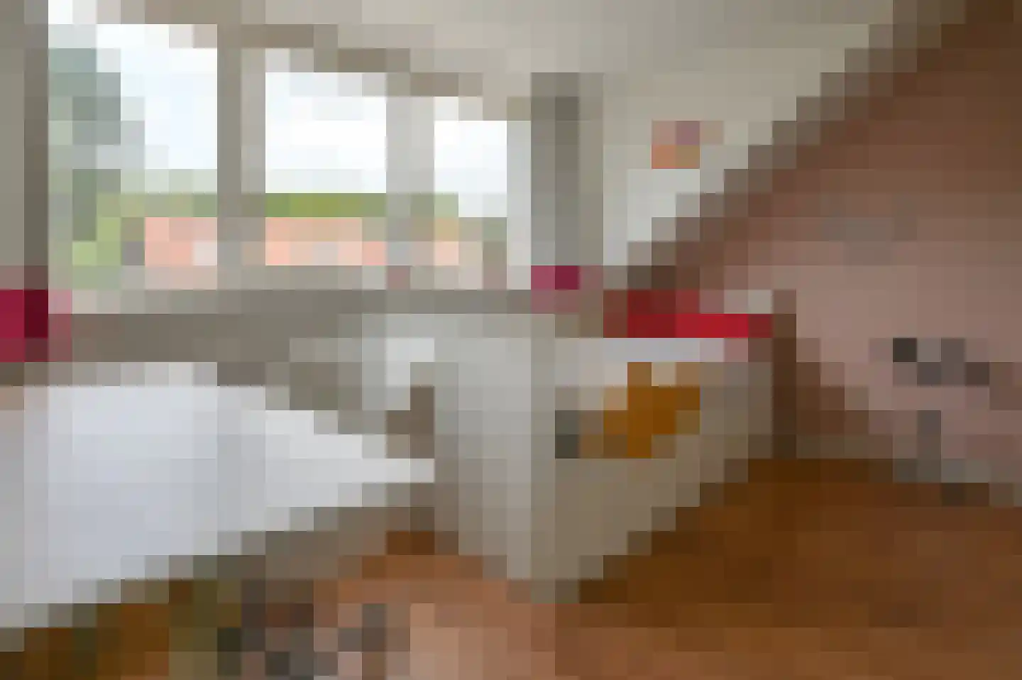 Roos en Beeklaan 65 Santpoort-Noord thumbnail 34