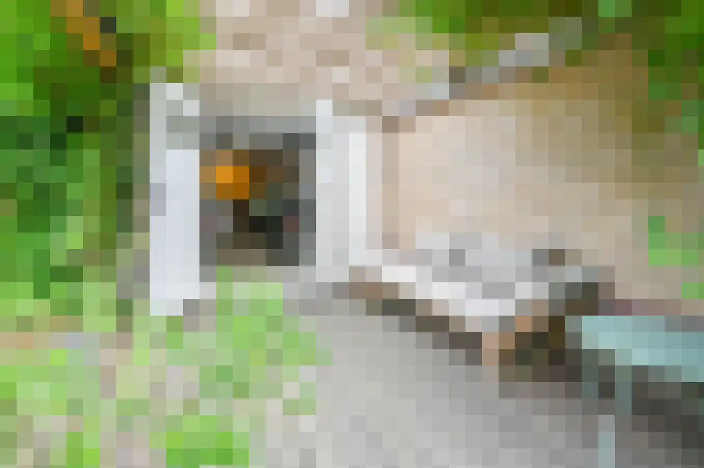 Roos en Beeklaan 65 Santpoort-Noord thumbnail 39