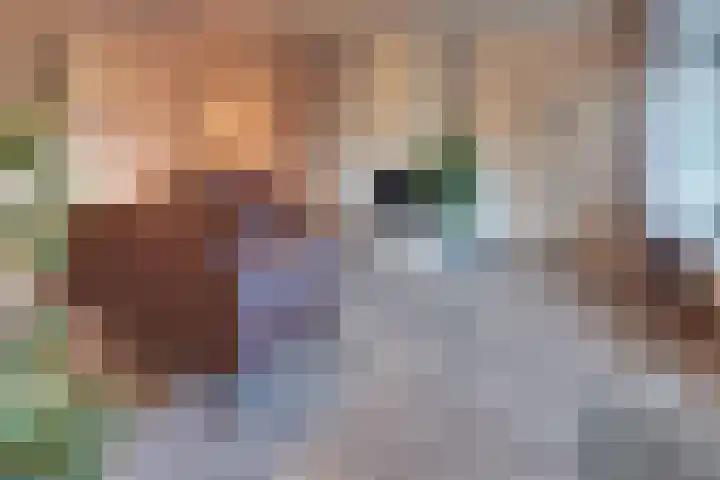 Roos- en Doornhof 7 Harderwijk thumbnail 18