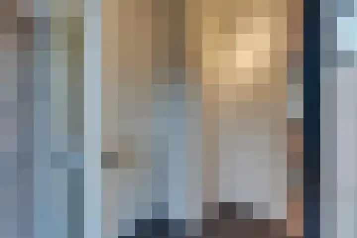 Roos- en Doornhof 7 Harderwijk thumbnail 8