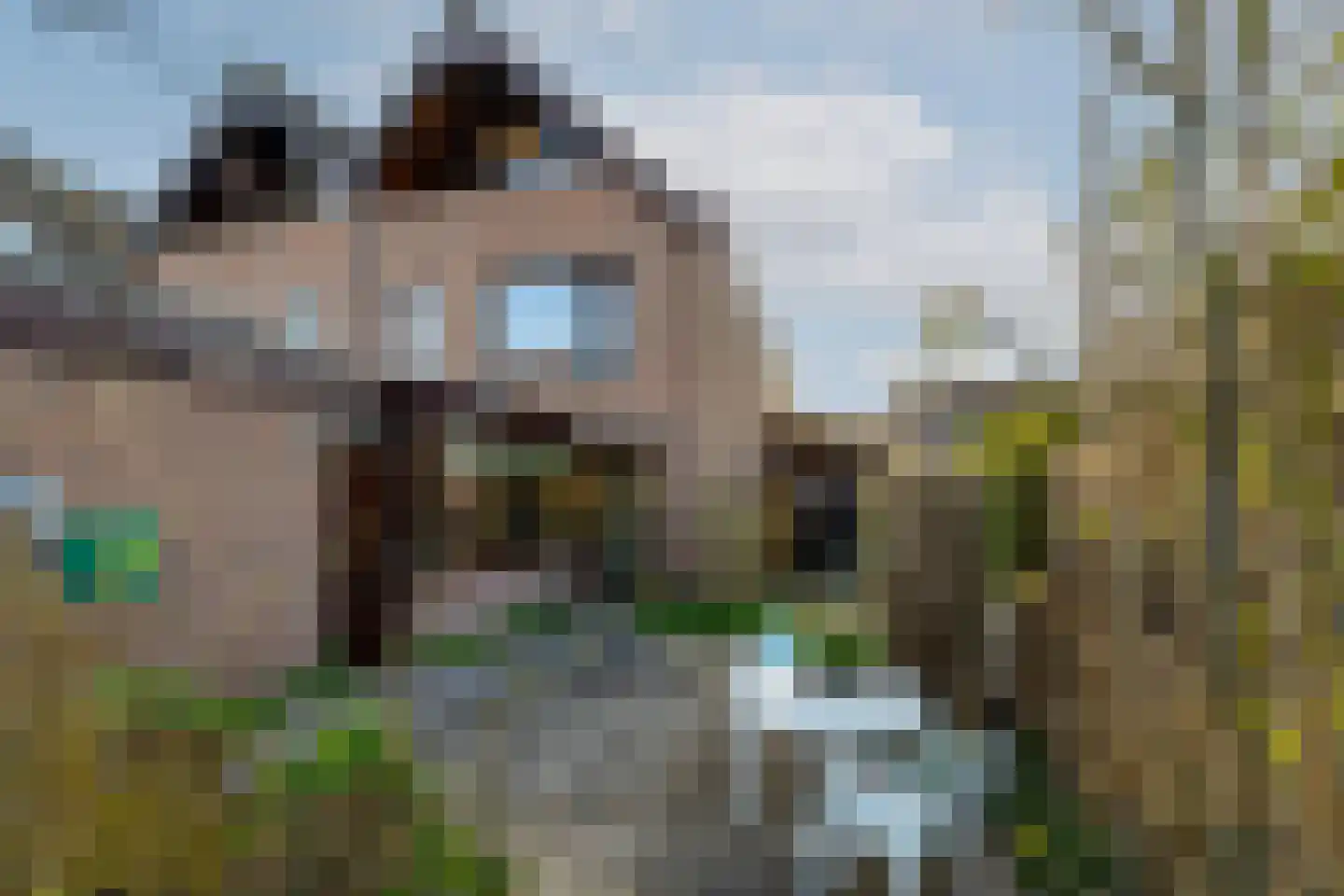 Roos van Dekama erf 15 Capelle aan den IJssel thumbnail 10