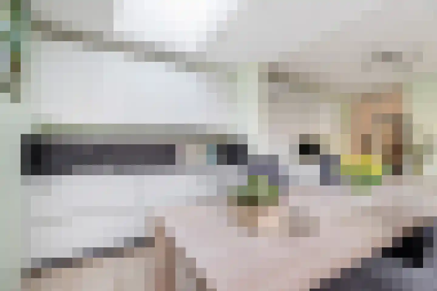 Roos van Dekama erf 15 Capelle aan den IJssel thumbnail 20