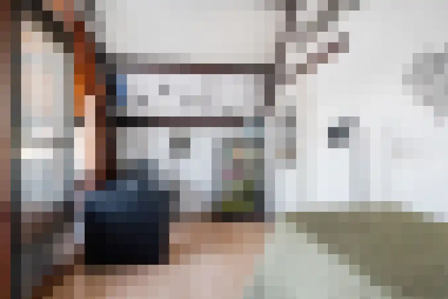 Roos van Dekama erf 15 Capelle aan den IJssel thumbnail 40