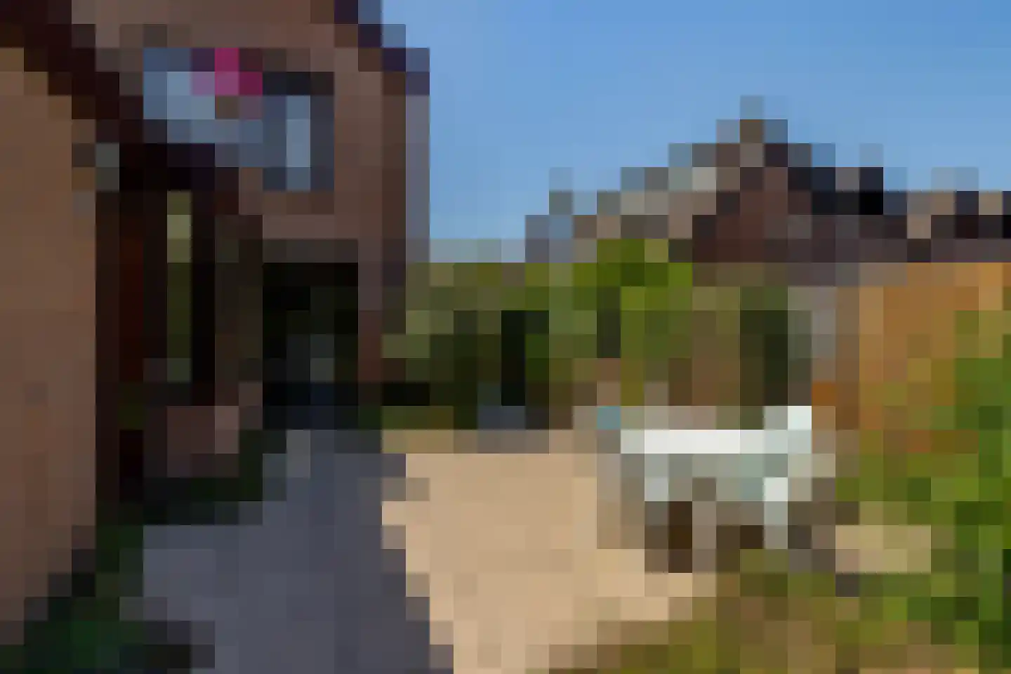Roos van Dekama erf 15 Capelle aan den IJssel thumbnail 8