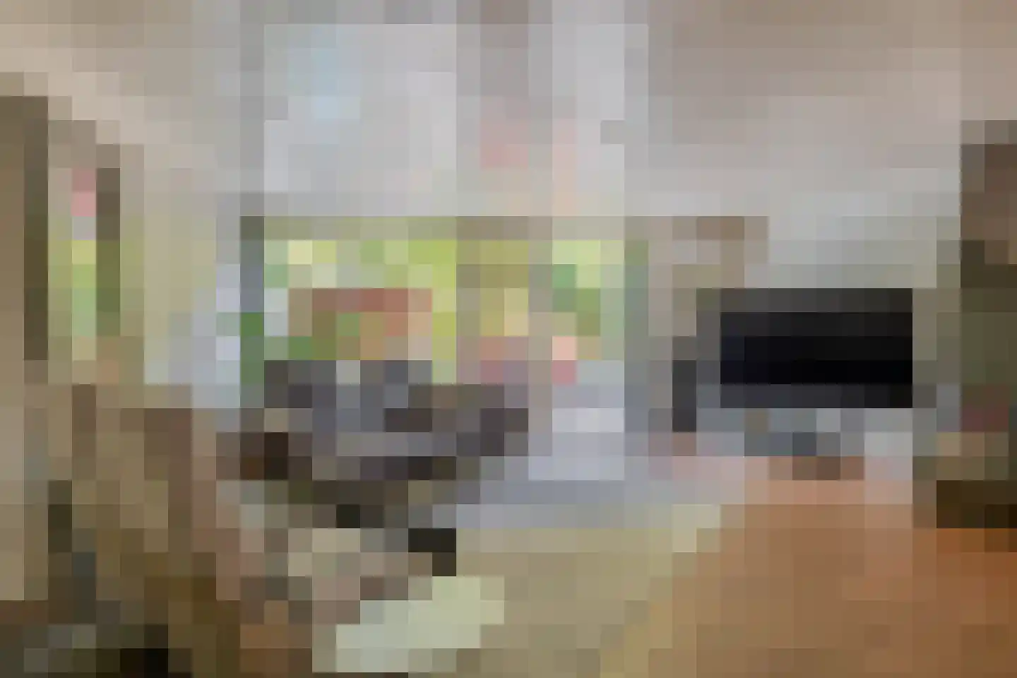 Roos van Dekama erf 36 Capelle aan den IJssel thumbnail 10