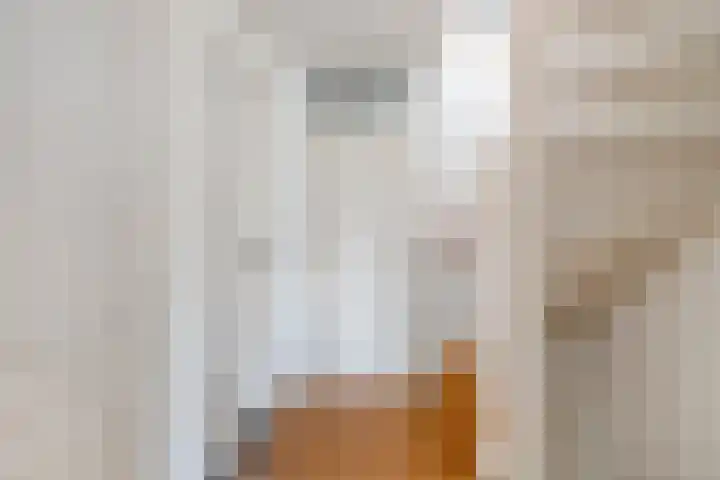Roos van Dekemastraat 40 Amersfoort thumbnail 11