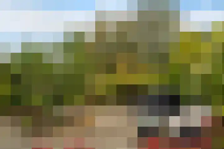 Roos Vosstraat 15 Schiedam thumbnail 19