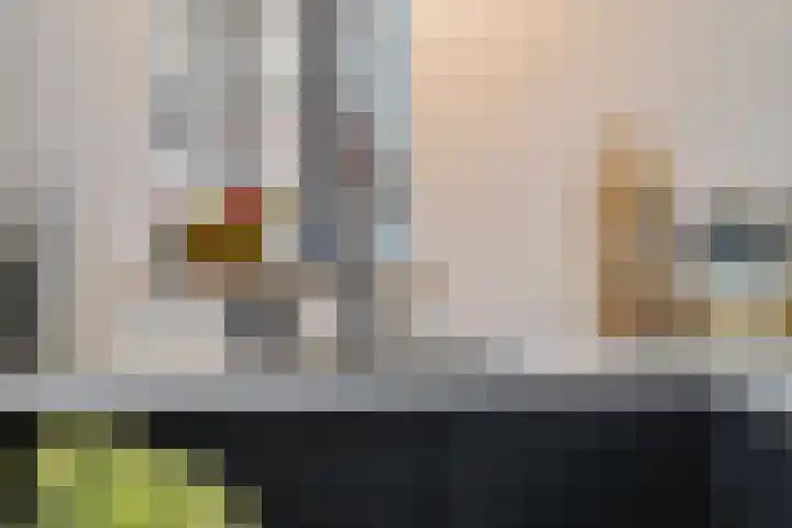 Roos Vosstraat 15 Schiedam thumbnail 25