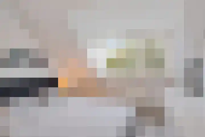 Roos Vosstraat 15 Schiedam thumbnail 37