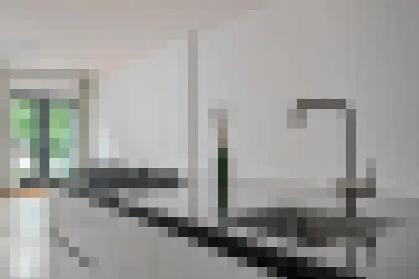 Roosbeek 24 Schiedam thumbnail 9