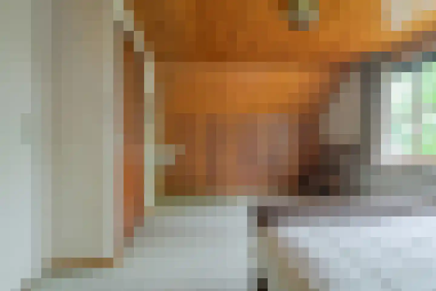 Roosbergseweg 1 Bavel thumbnail 31