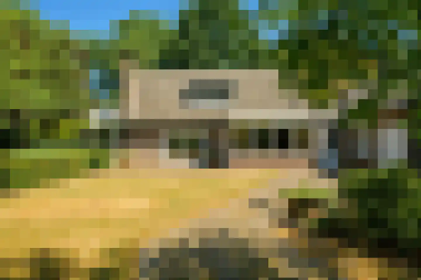 Roosbergseweg 1 Bavel thumbnail 35
