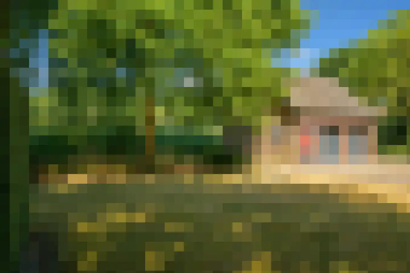 Roosbergseweg 1 Bavel thumbnail 36