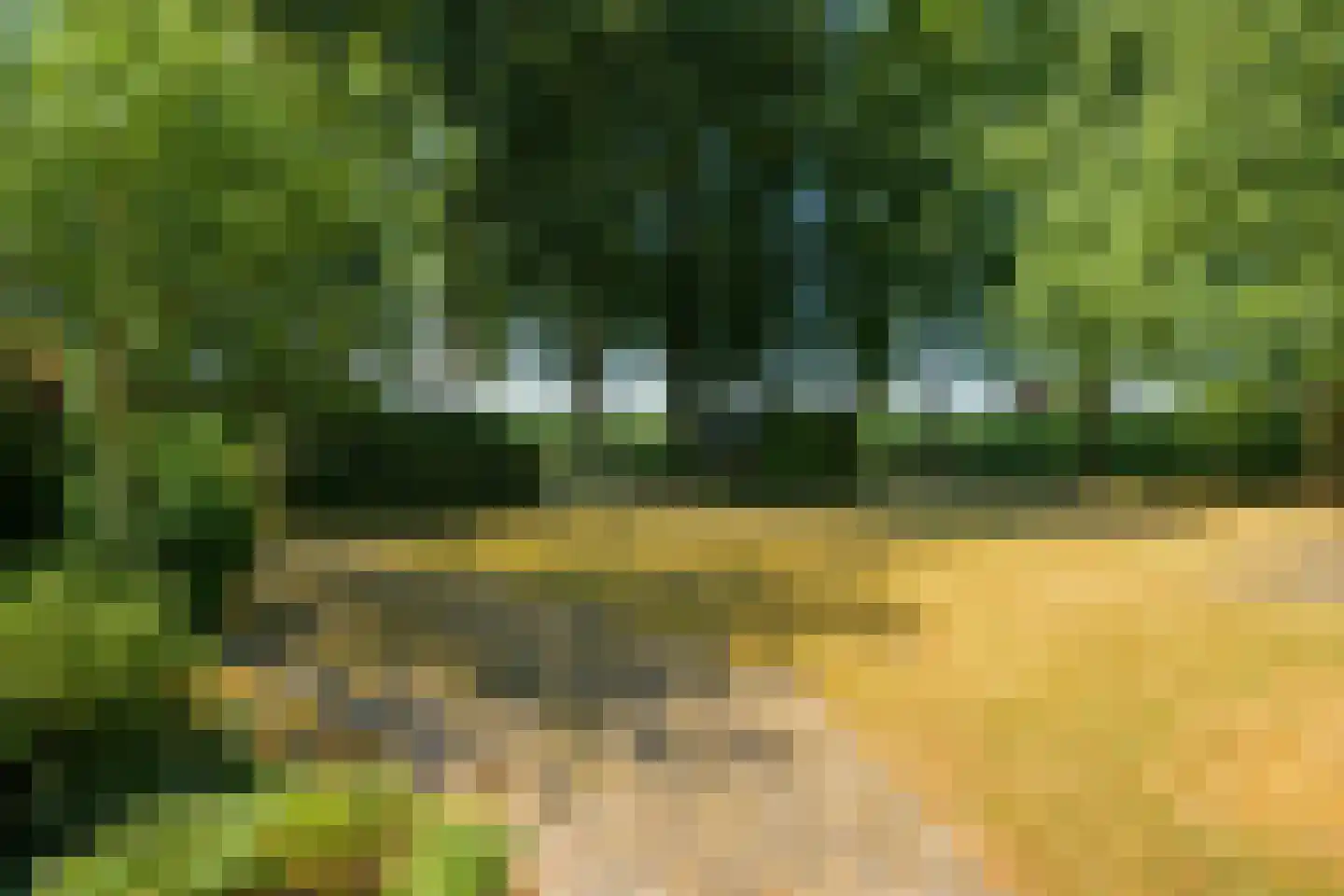 Roosbergseweg 1 Bavel thumbnail 38