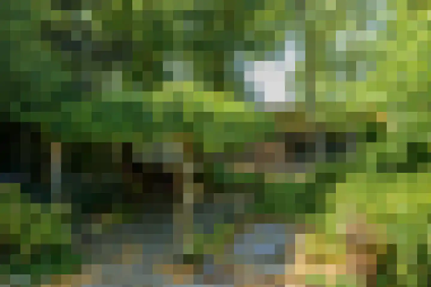 Roosbergseweg 1 Bavel thumbnail 39