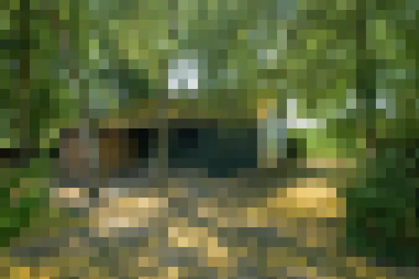 Roosbergseweg 1 Bavel thumbnail 40