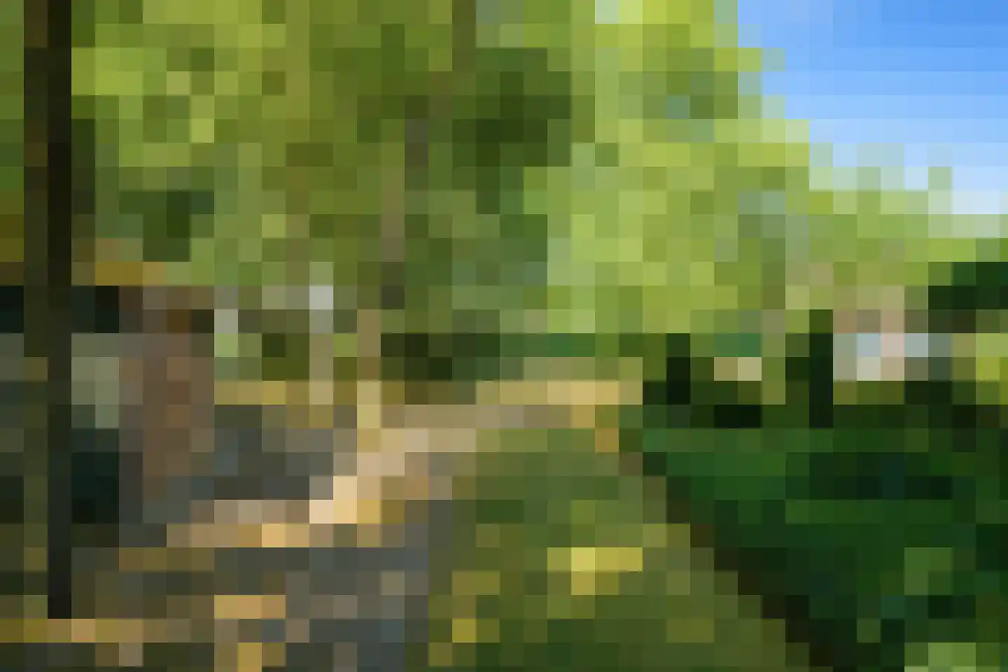 Roosbergseweg 1 Bavel thumbnail 42