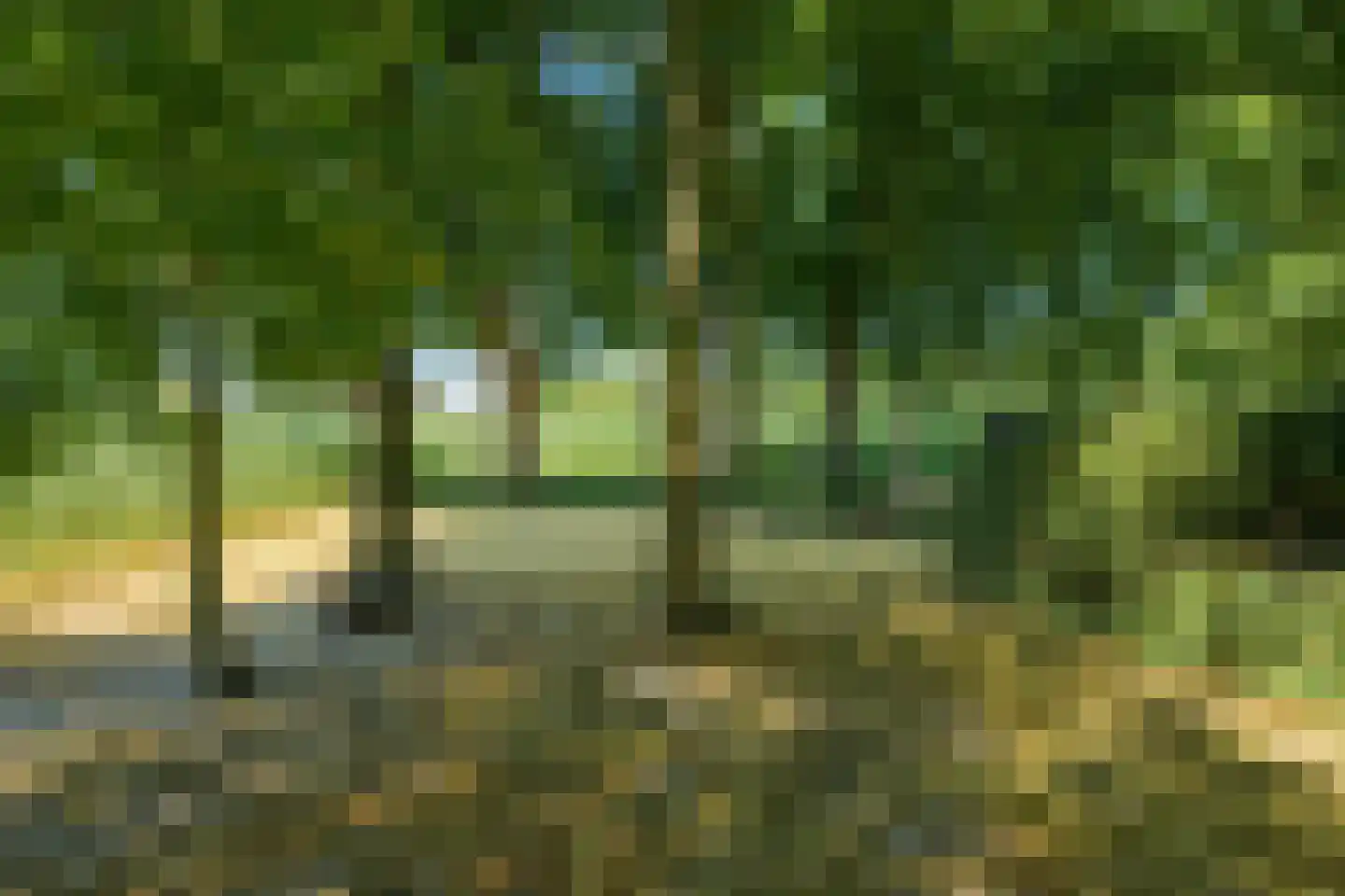 Roosbergseweg 1 Bavel thumbnail 43