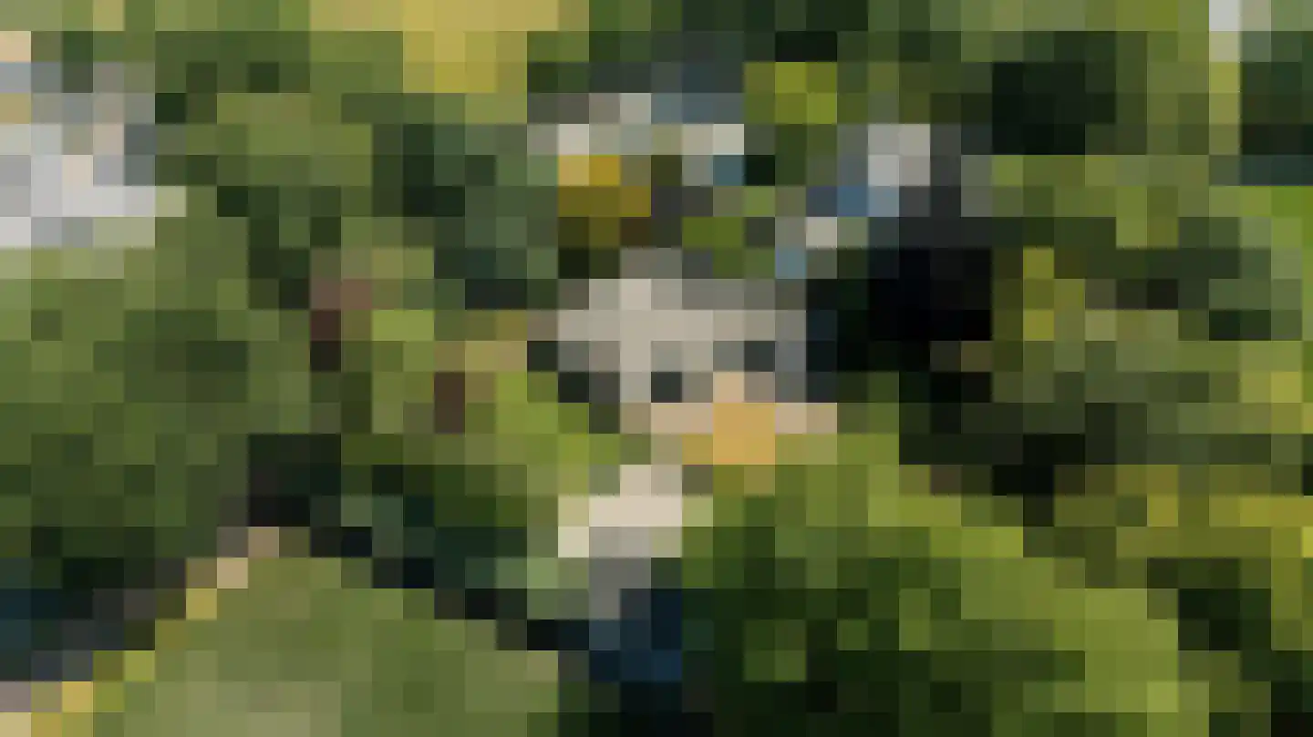 Roosbergseweg 1 Bavel thumbnail 44
