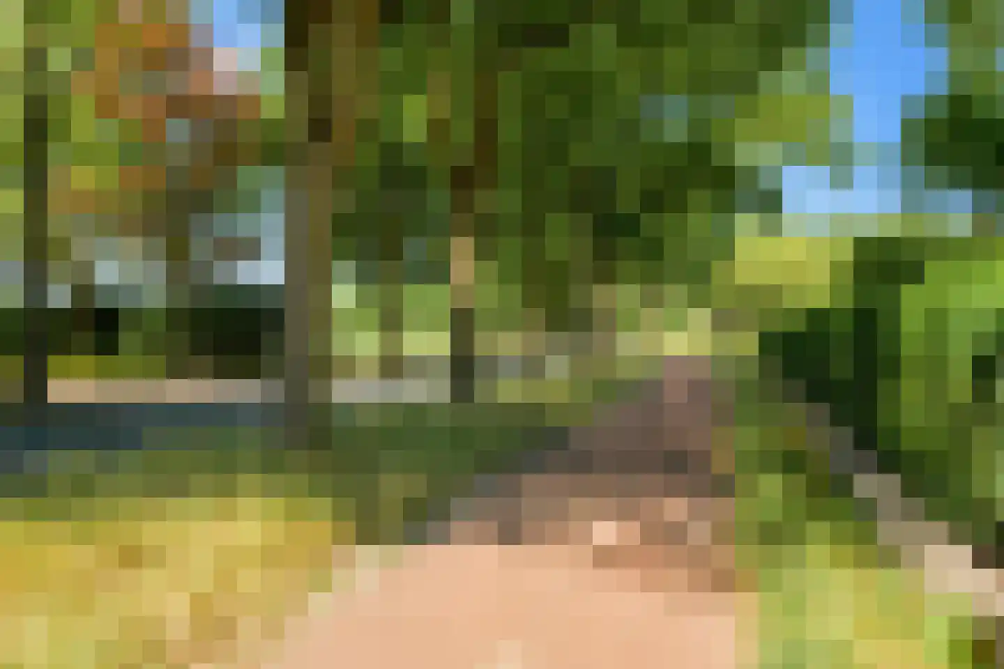 Roosbergseweg 1 Bavel thumbnail 48