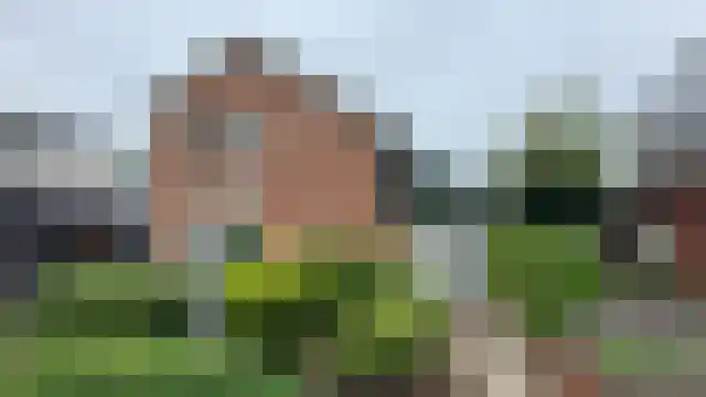 Roosdomsweg 18 Markelo