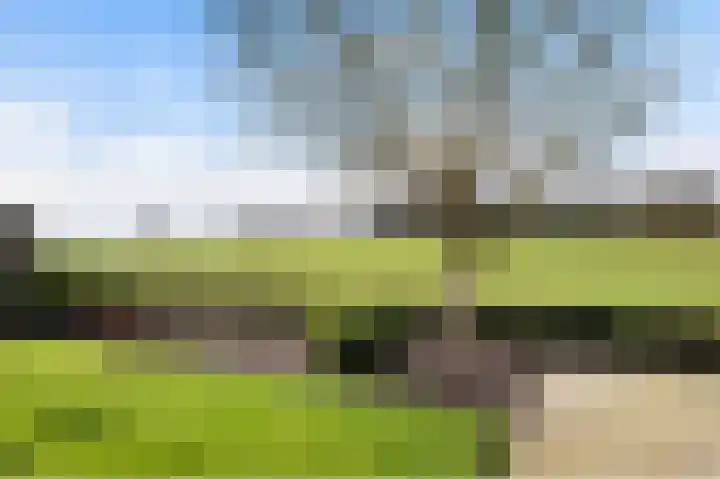 Roosdomsweg 18 Markelo thumbnail 10