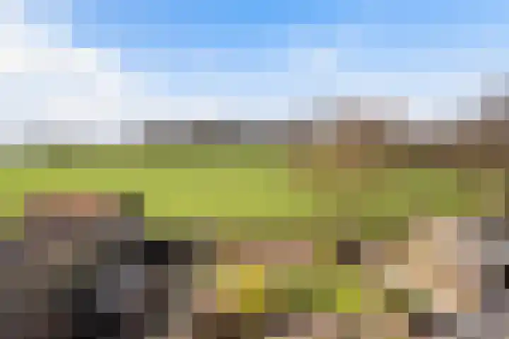 Roosdomsweg 18 Markelo thumbnail 11