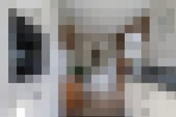 Roosdomsweg 18 Markelo thumbnail 16