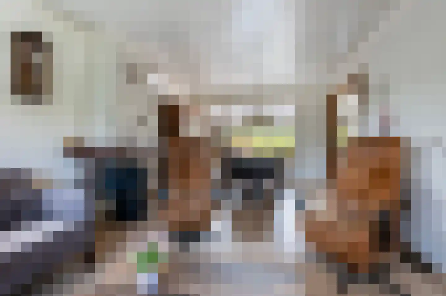 Roosdomsweg 18 Markelo thumbnail 18
