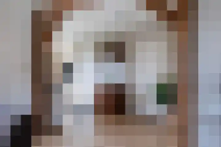 Roosdomsweg 18 Markelo thumbnail 19