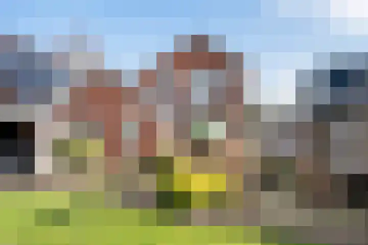 Roosdomsweg 18 Markelo foto 3