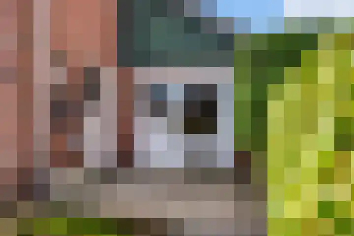 Roosdomsweg 18 Markelo thumbnail 34