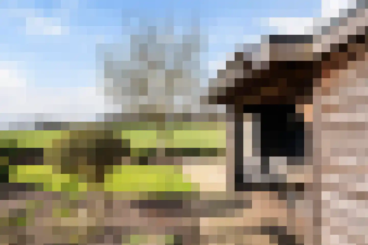 Roosdomsweg 18 Markelo thumbnail 4