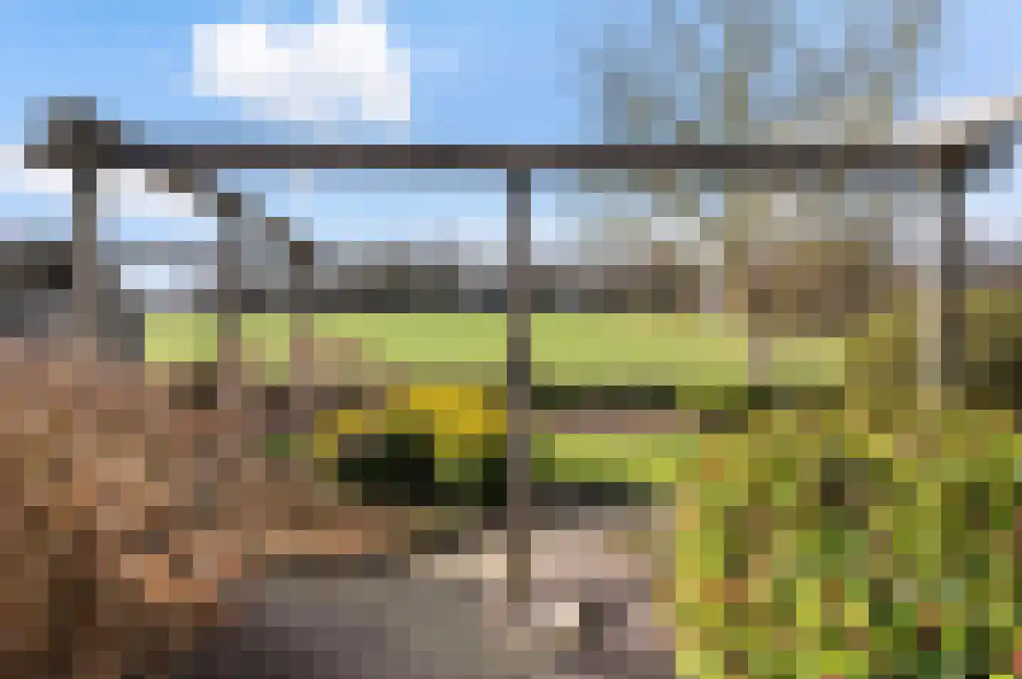 Roosdomsweg 18 Markelo thumbnail 5