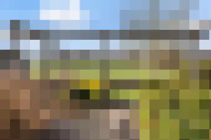 Roosdomsweg 18 Markelo thumbnail 8
