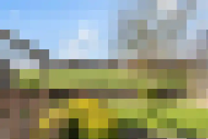 Roosdomsweg 18 Markelo thumbnail 9