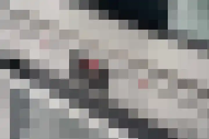 Roosdomsweg 20 Markelo thumbnail 16