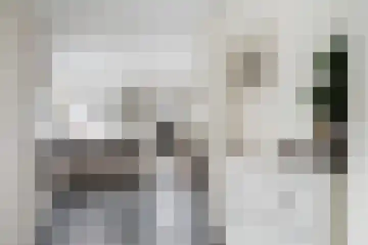 Roosdomsweg 20 Markelo thumbnail 17
