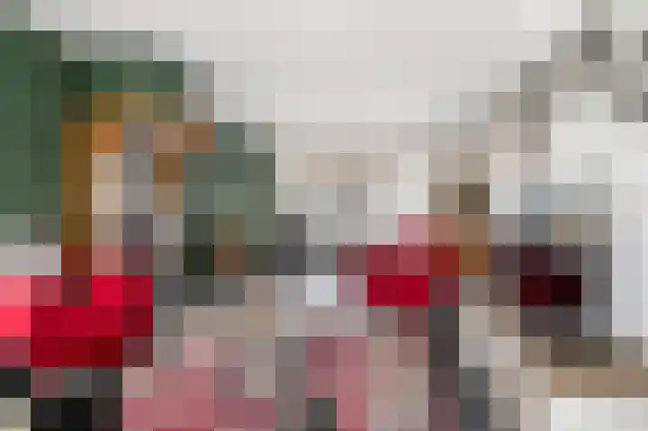 Roosdomsweg 20 Markelo thumbnail 21