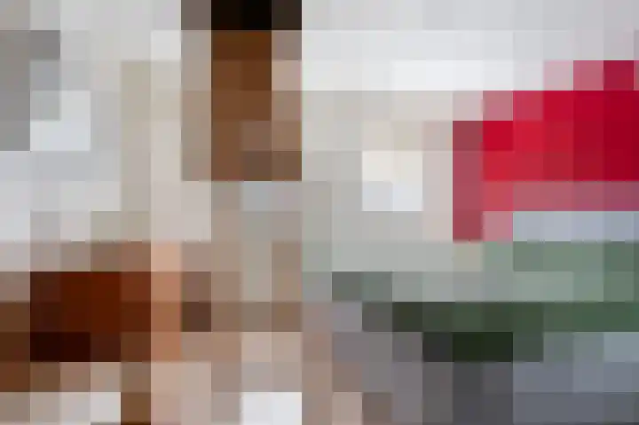 Roosdomsweg 20 Markelo thumbnail 29